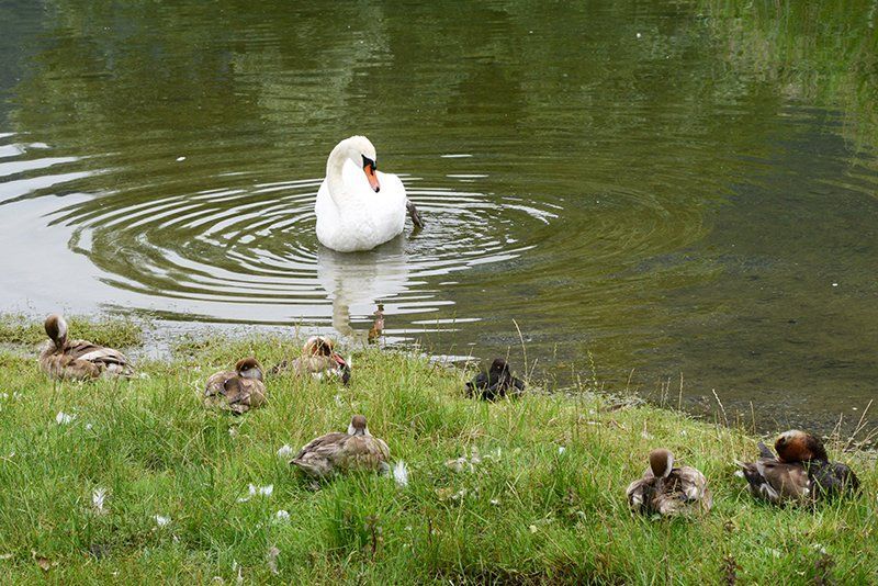 Fotografie Alfons Weber
