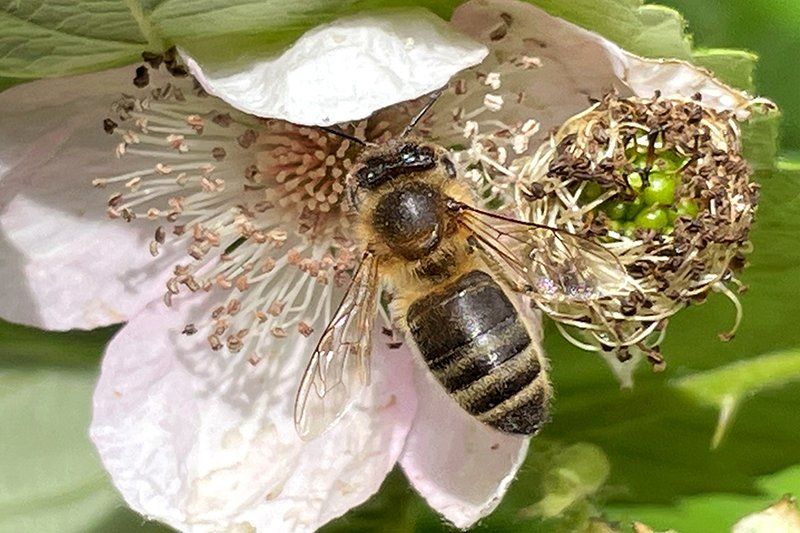 Fotografie Alfons Weber
