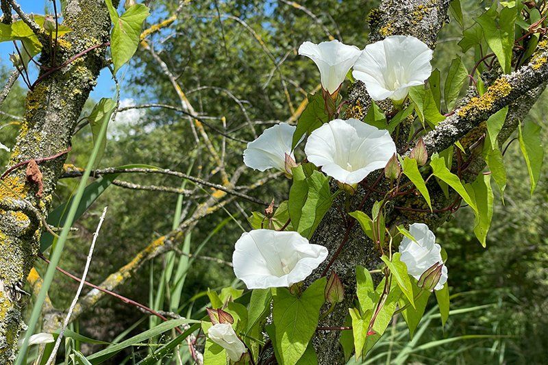 Fotografie Alfons Weber
