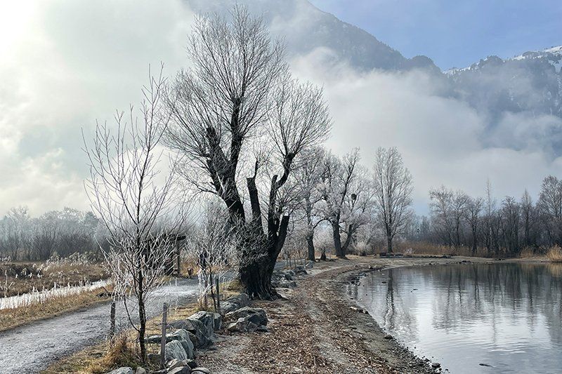Fotografie Alfons Weber
