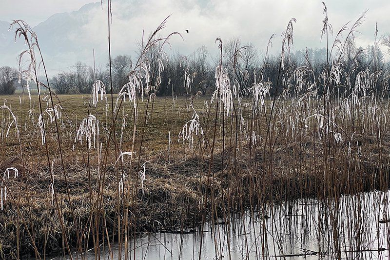Fotografie Alfons Weber
