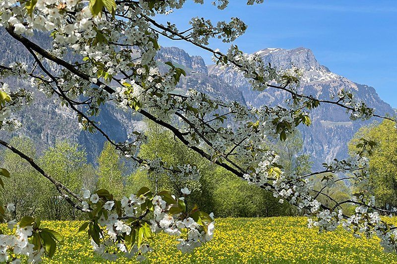 Fotografie Alfons Weber
