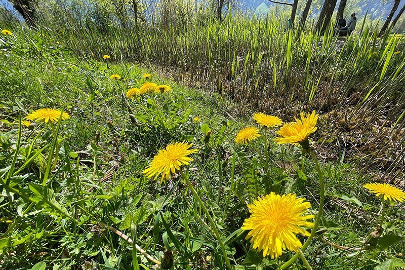 Fotografie Alfons Weber
