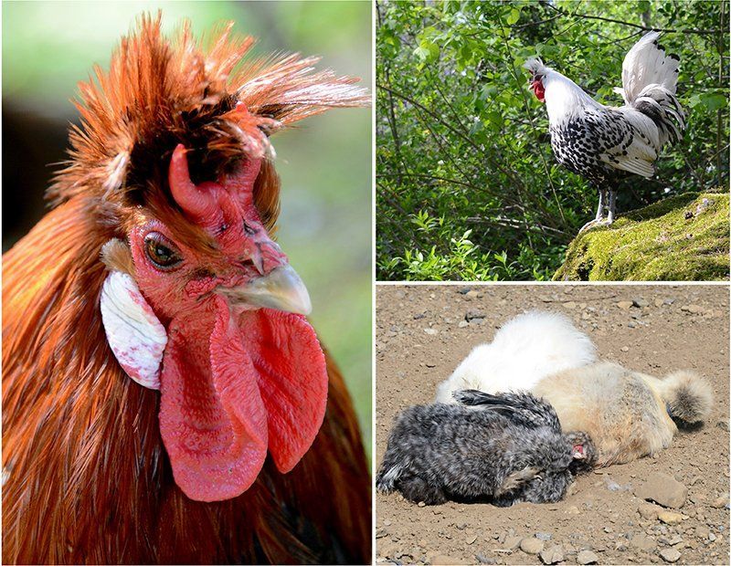 Fotografie Alfons Weber
