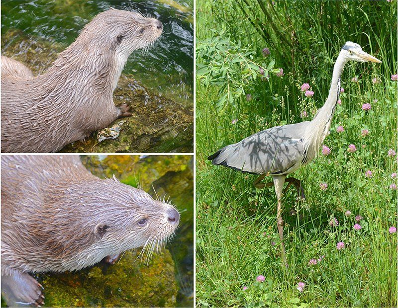 Fotografie Alfons Weber
