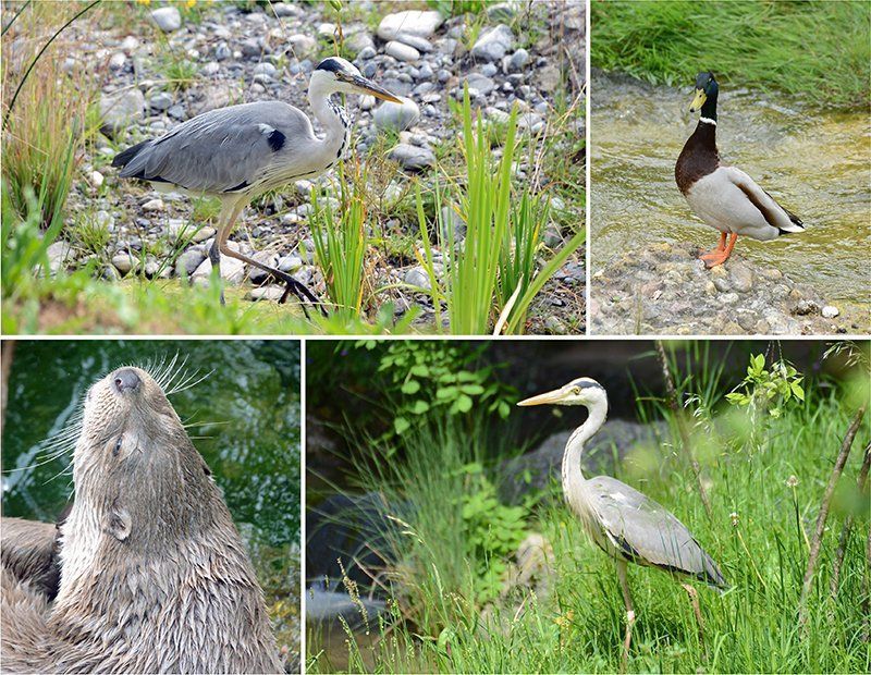 Fotografie Alfons Weber
