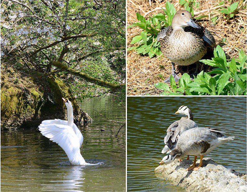 Fotografie Alfons Weber
