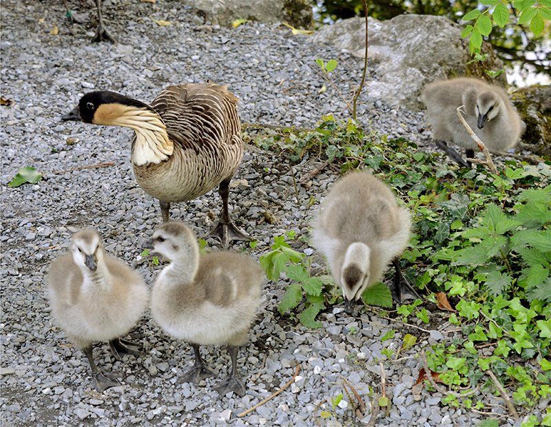 Fotografie Alfons Weber
