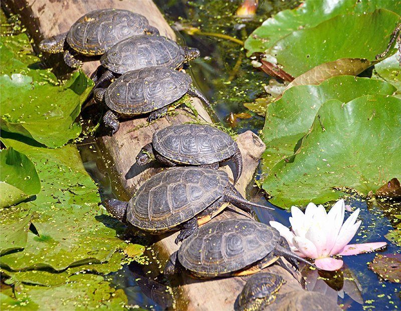 Fotografie Alfons Weber
