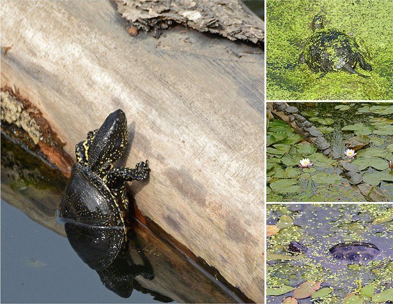 Fotografie Alfons Weber
