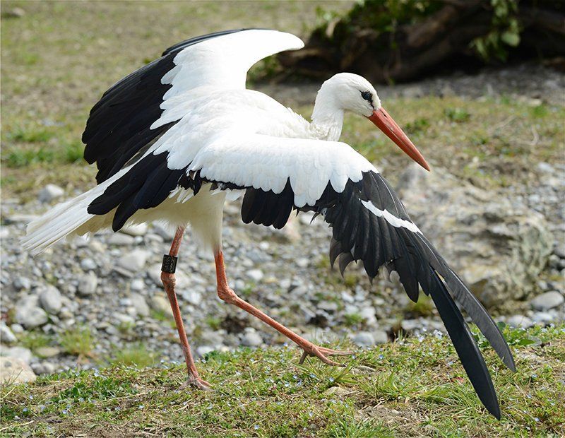 Fotografie Alfons Weber
