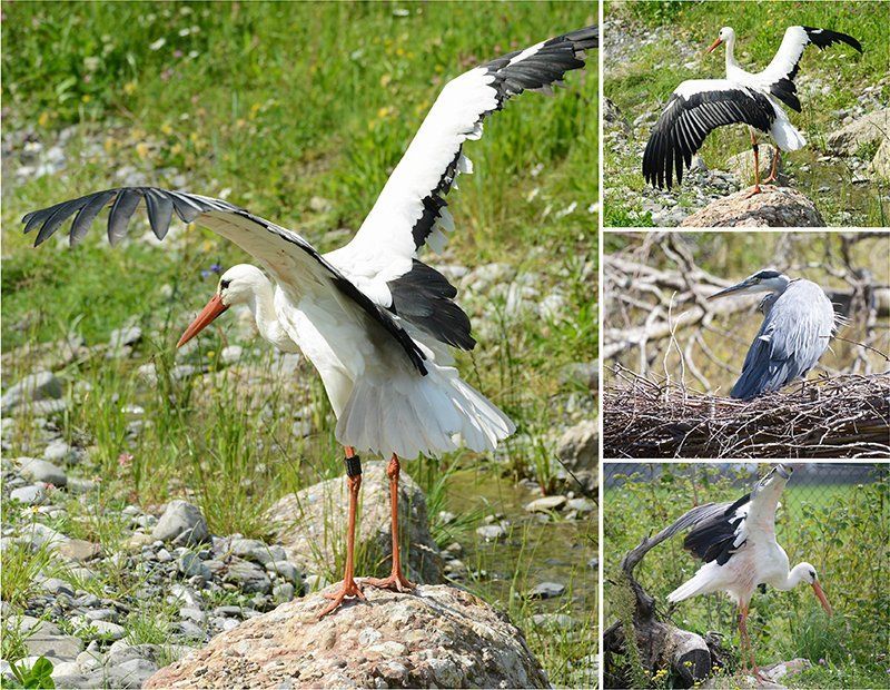 Fotografie Alfons Weber
