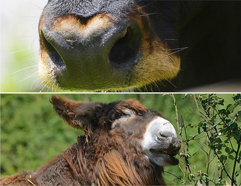 Fotografie Alfons Weber
