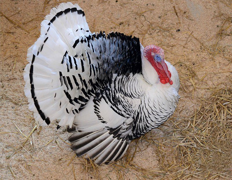 Fotografie Alfons Weber
