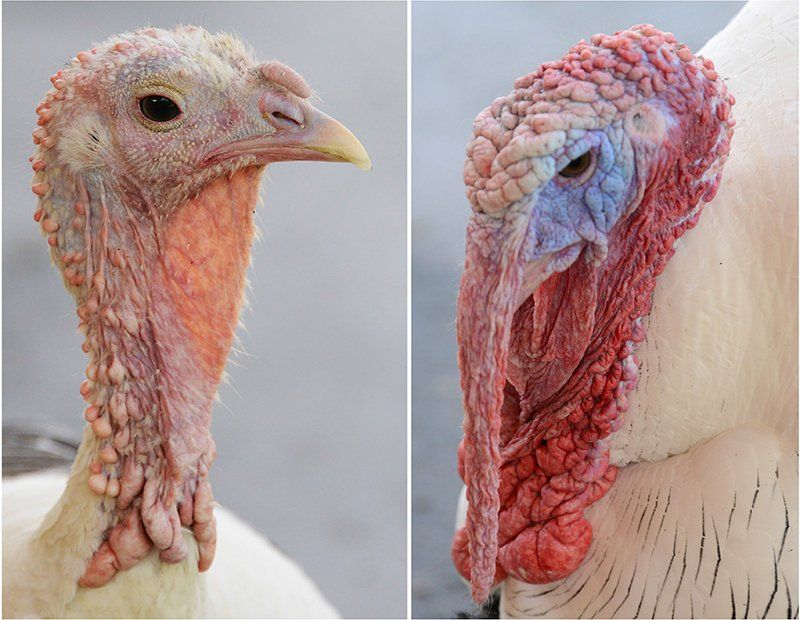 Fotografie Alfons Weber
