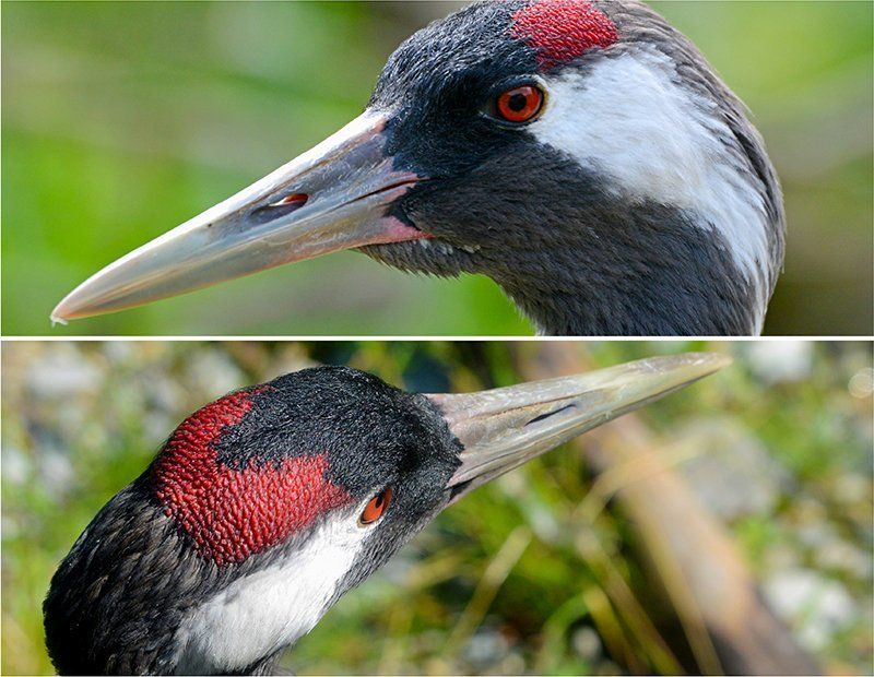 Fotografie Alfons Weber
