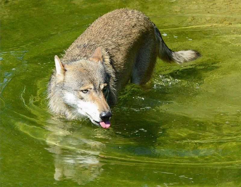Fotografie Alfons Weber
