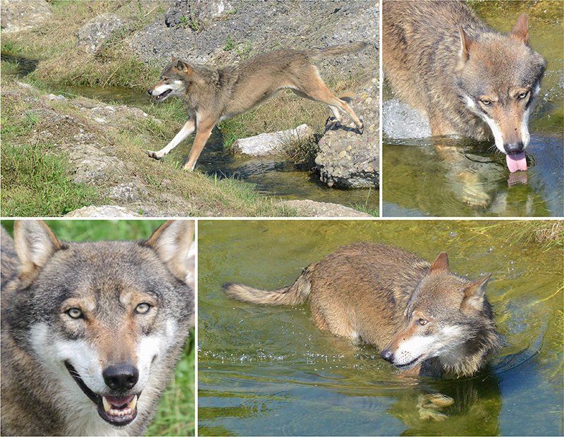 Fotografie Alfons Weber
