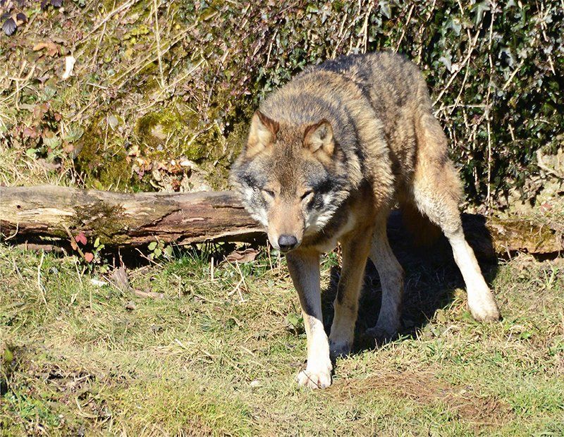 Fotografie Alfons Weber
