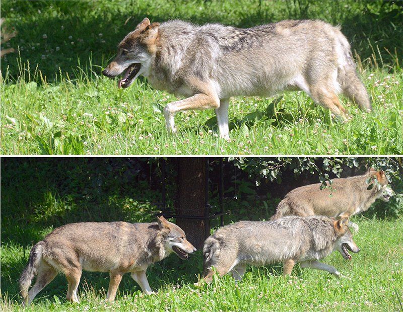 Fotografie Alfons Weber
