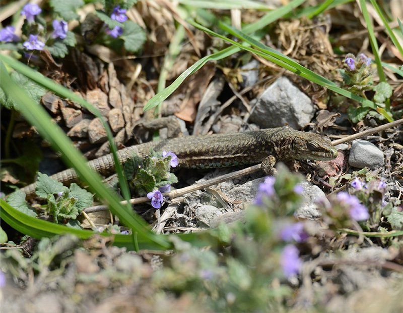 Fotografie Alfons Weber
