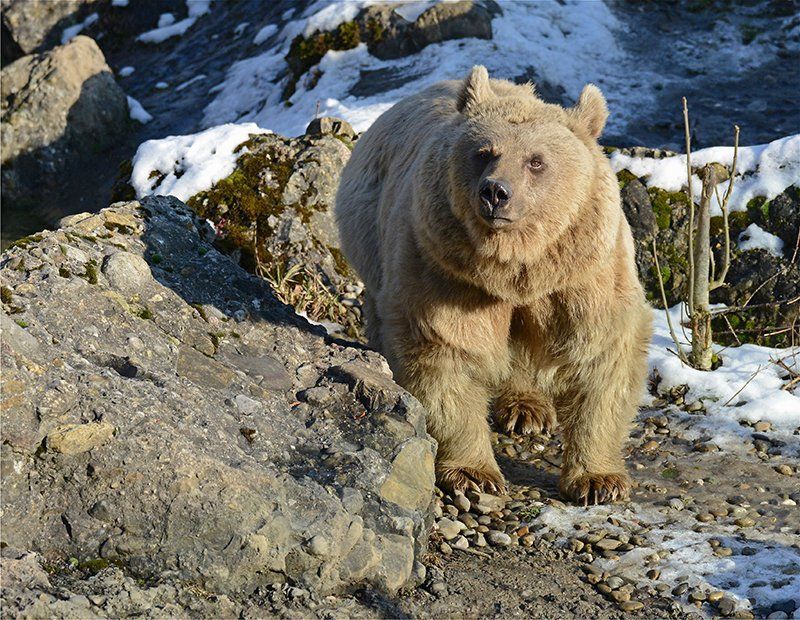 Fotografie Alfons Weber

