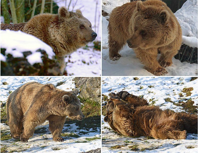 Fotografie Alfons Weber
