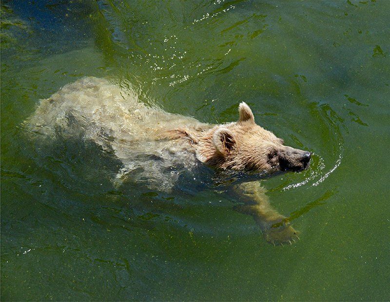 Fotografie Alfons Weber
