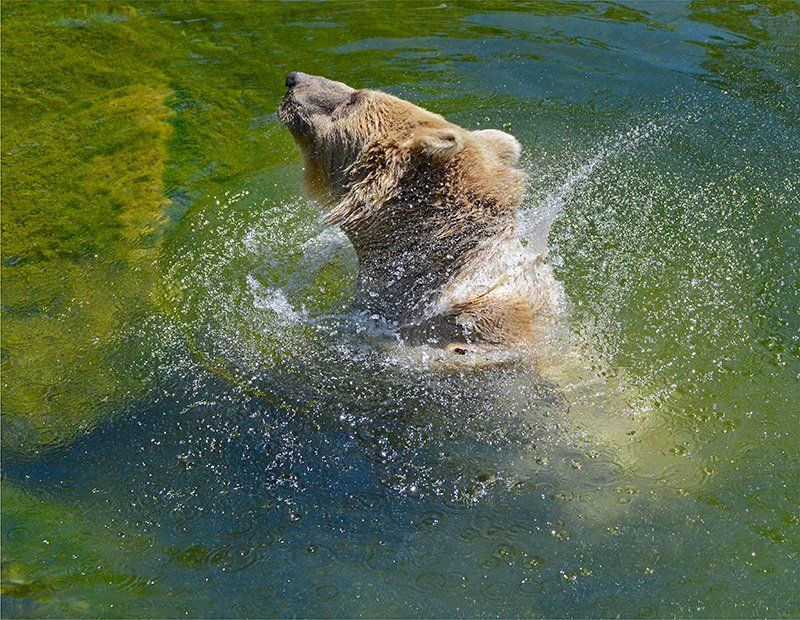 Fotografie Alfons Weber
