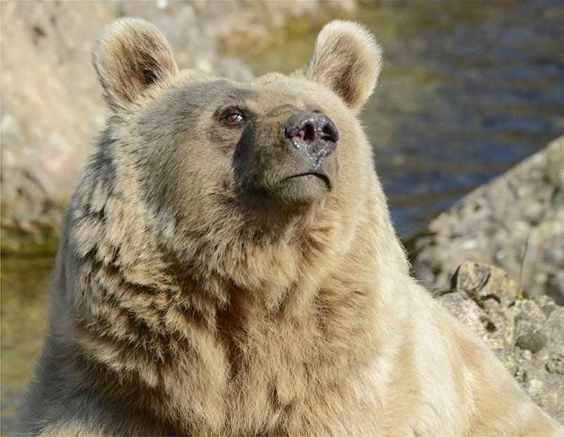 Fotografie Alfons Weber
