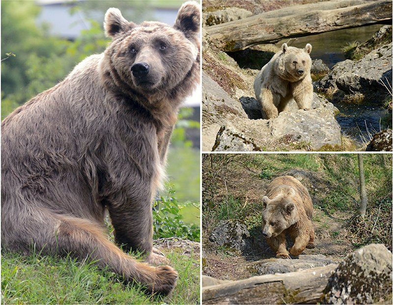 Fotografie Alfons Weber
