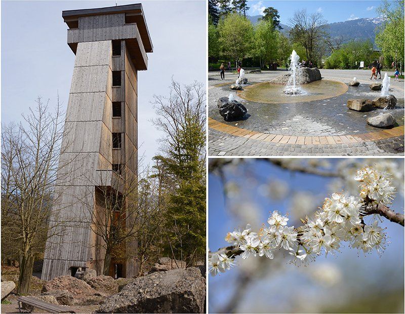 Fotografie Alfons Weber
