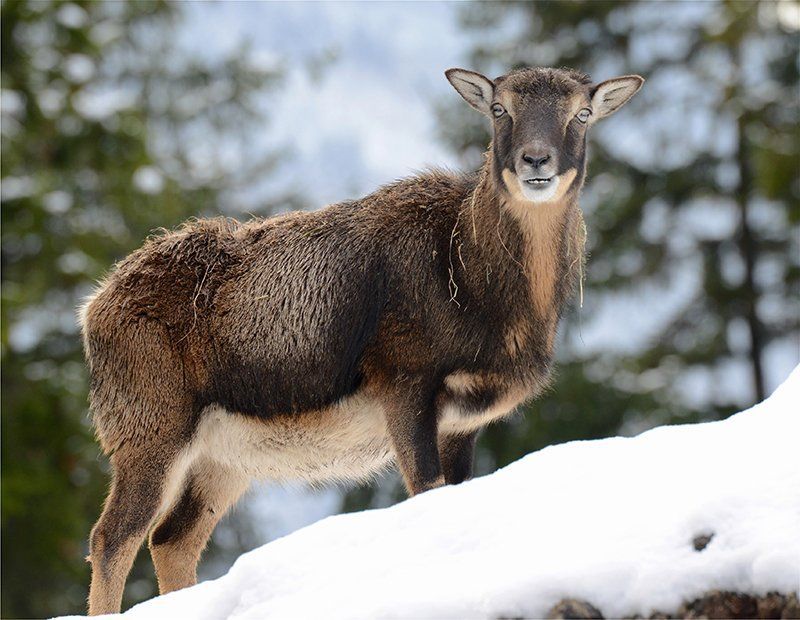 Fotografie Alfons Weber
