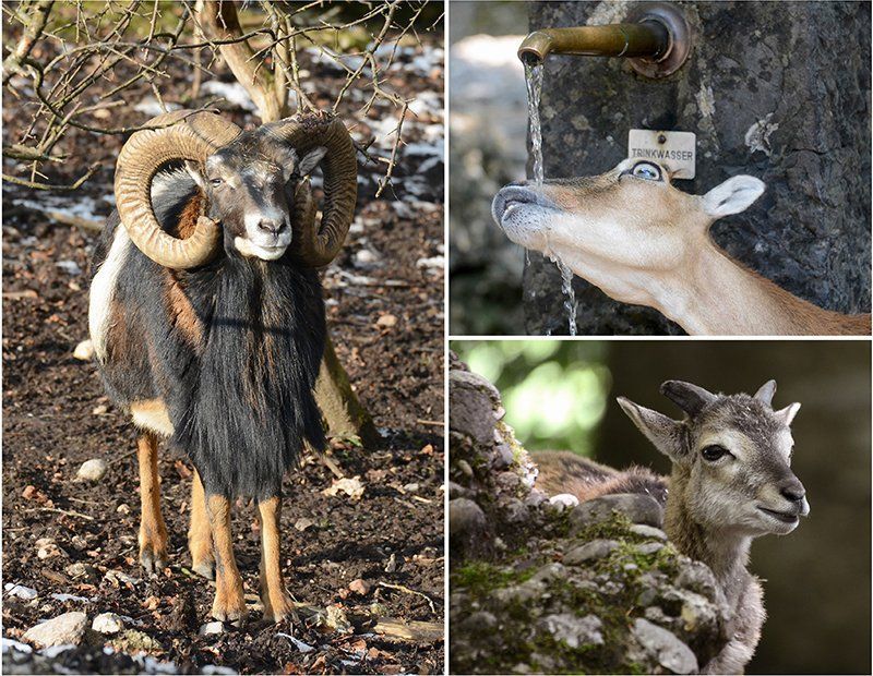 Fotografie Alfons Weber
