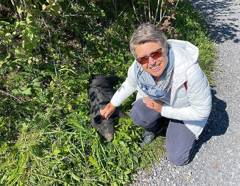 Fotografie Alfons Weber
