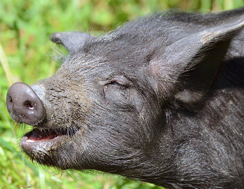 Fotografie Alfons Weber
