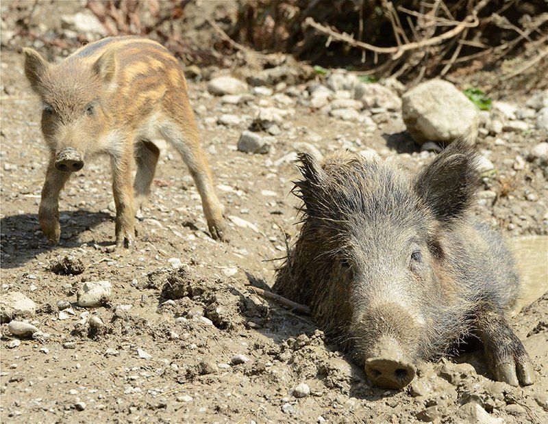 Fotografie Alfons Weber
