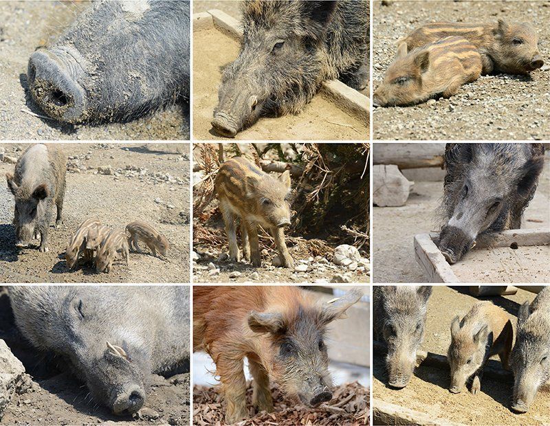 Fotografie Alfons Weber
