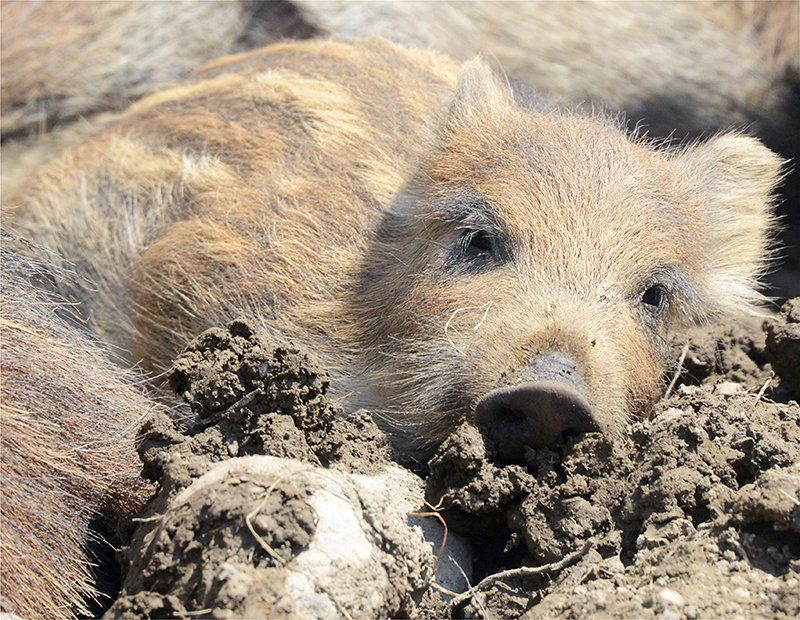 Fotografie Alfons Weber
