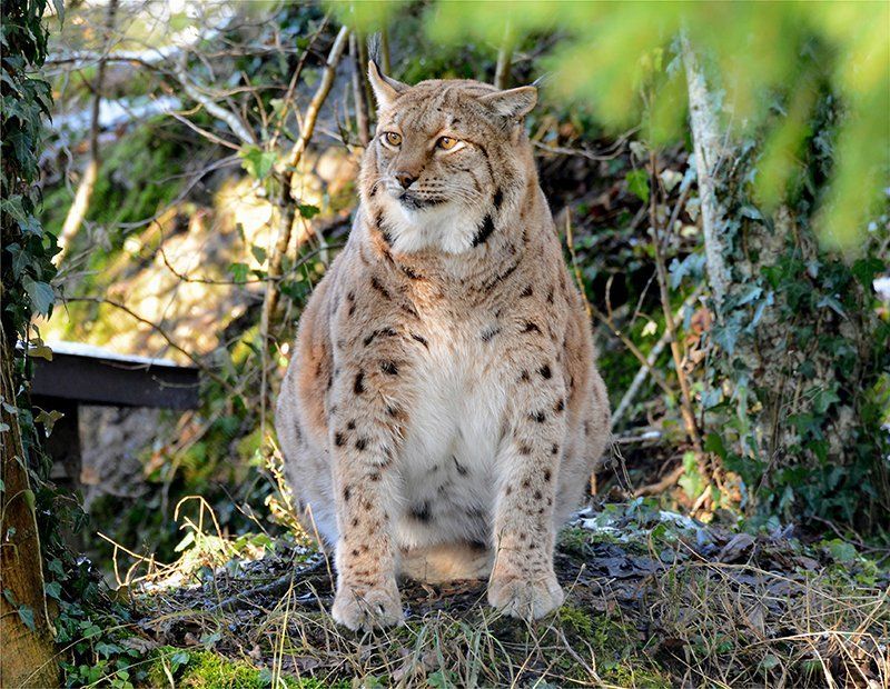 Fotografie Alfons Weber
