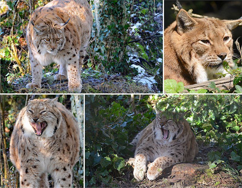 Fotografie Alfons Weber
