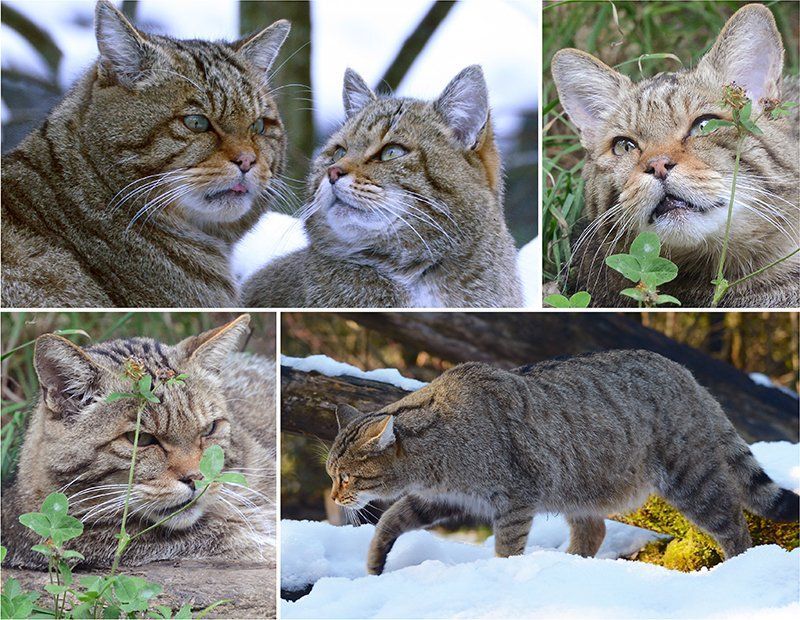 Fotografie Alfons Weber
