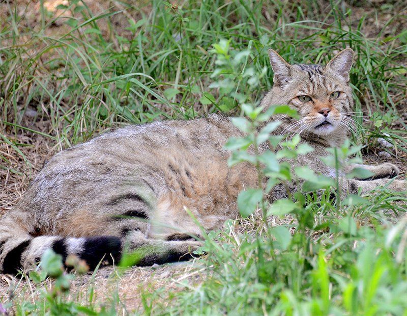Fotografie Alfons Weber
