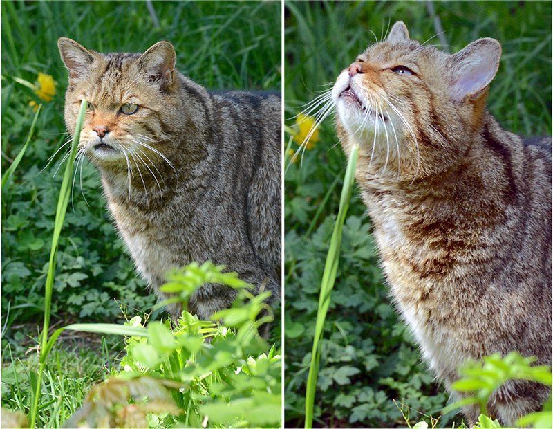 Fotografie Alfons Weber
