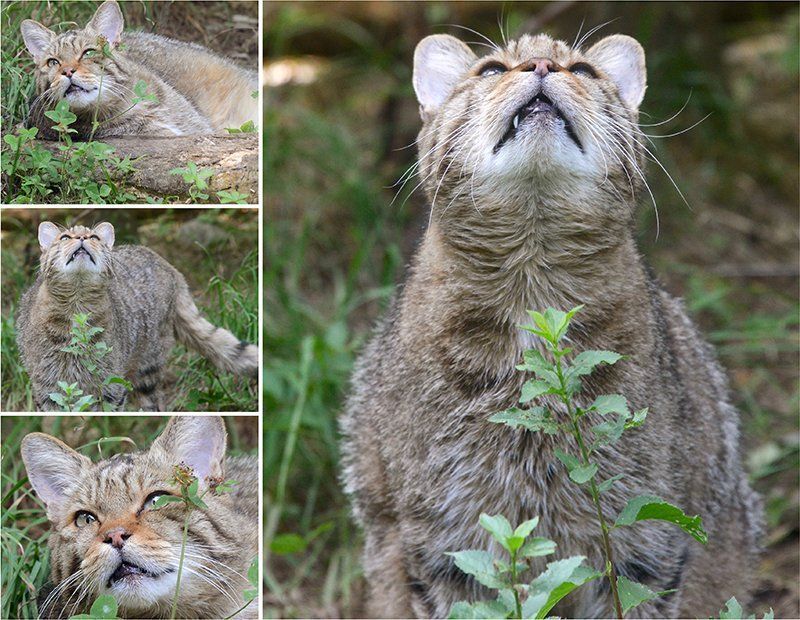 Fotografie Alfons Weber
