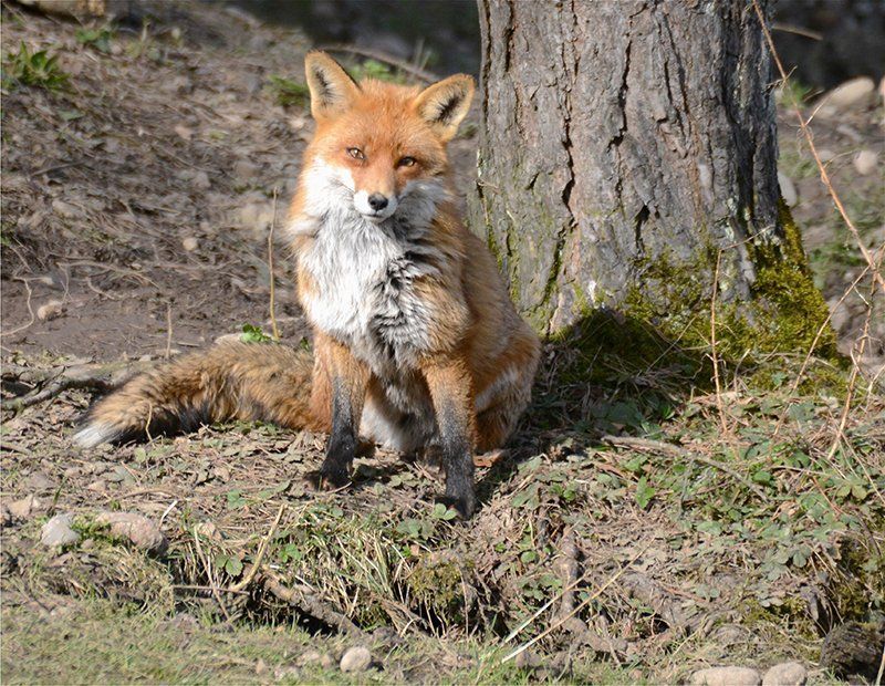 Fotografie Alfons Weber
