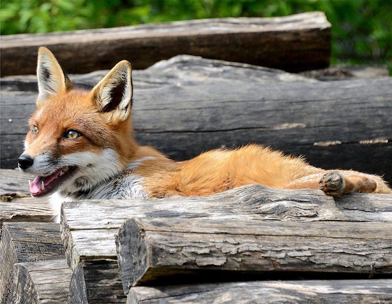 Fotografie Alfons Weber
