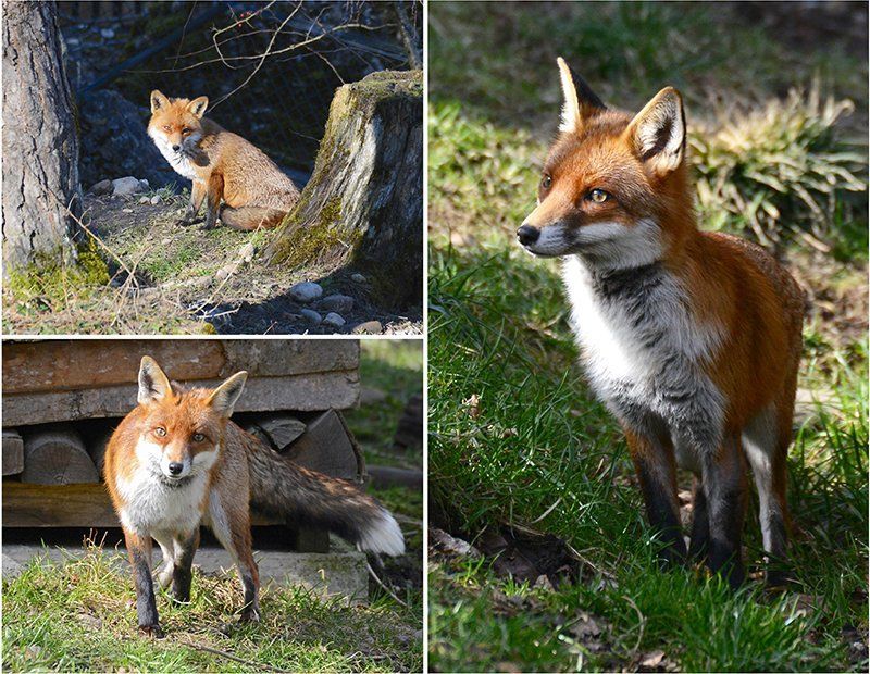 Fotografie Alfons Weber
