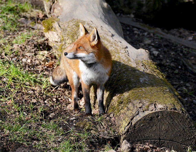 Fotografie Alfons Weber
