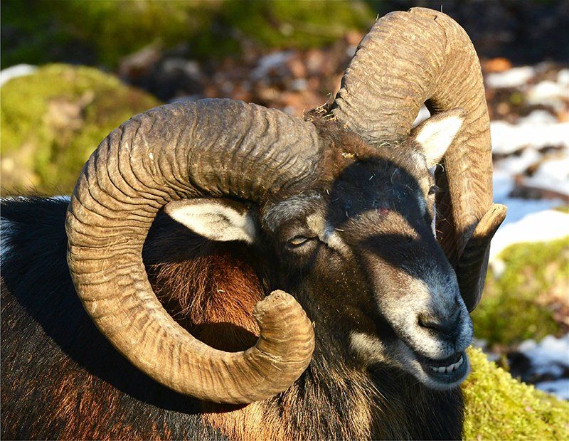 Fotografie Alfons Weber
